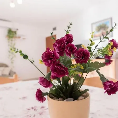 Ante Appartement